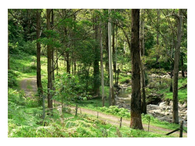 Conondale QLD 4552