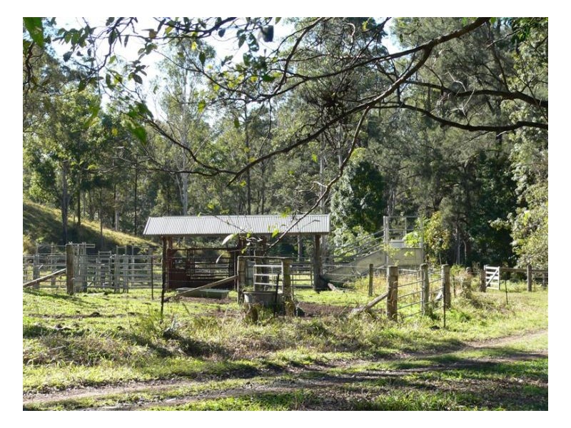 Conondale QLD 4552