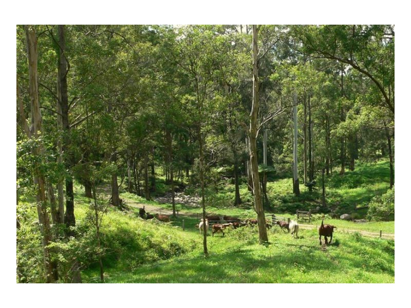 Conondale QLD 4552