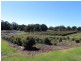 Witta QLD 4552