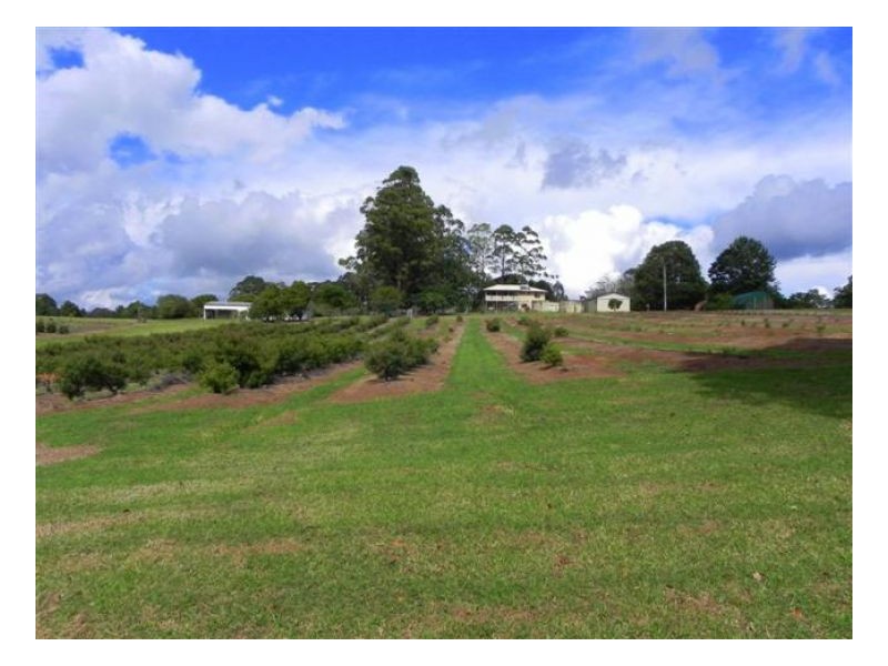 Witta QLD 4552