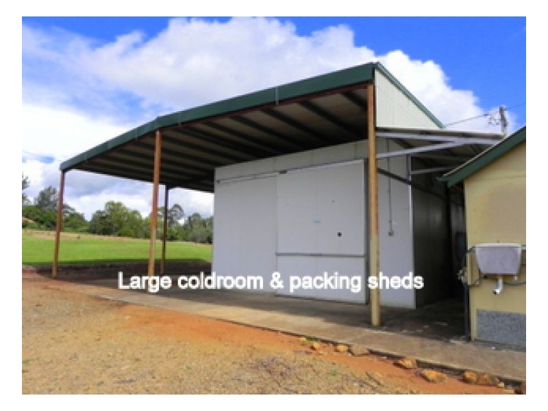 Witta QLD 4552