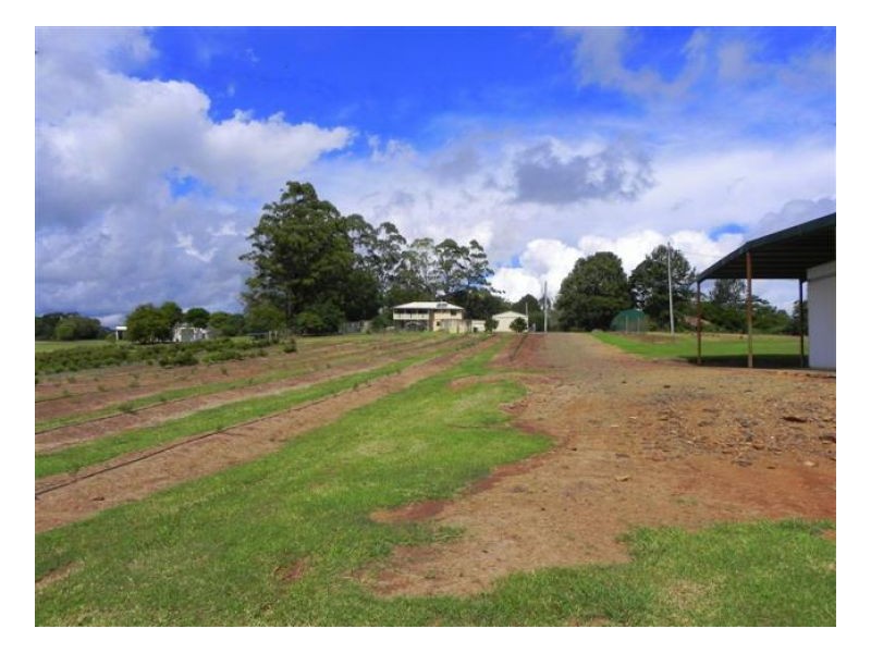 Witta QLD 4552