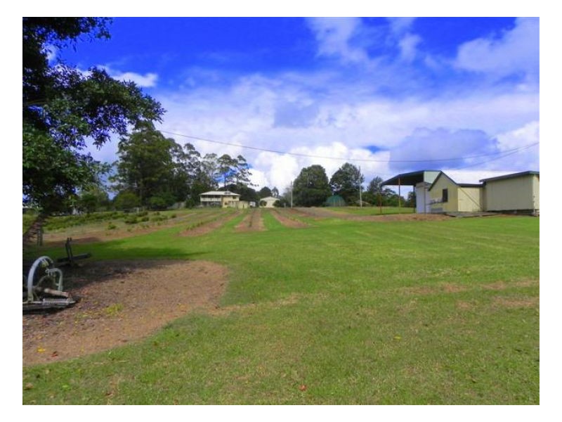 Witta QLD 4552