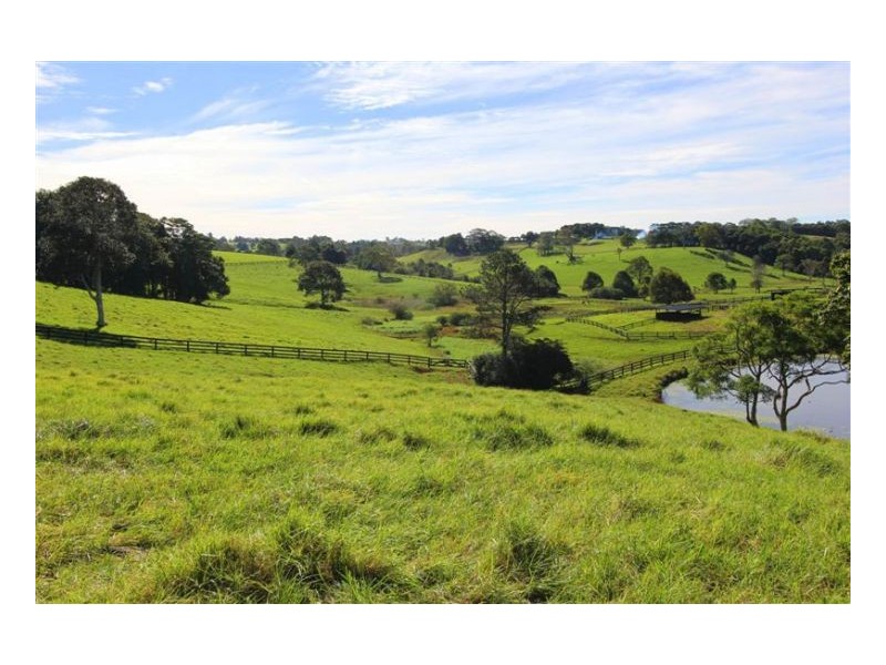 Maleny QLD 4552