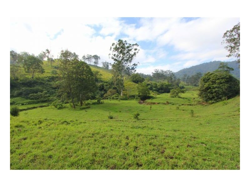 Conondale QLD 4552