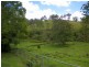 Conondale QLD 4552