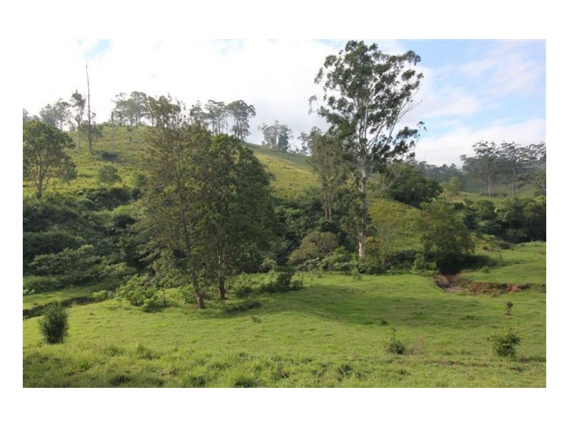 Conondale QLD 4552