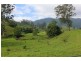 Conondale QLD 4552