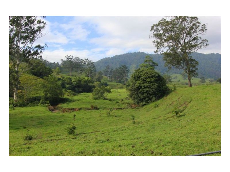 Conondale QLD 4552
