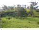Conondale QLD 4552