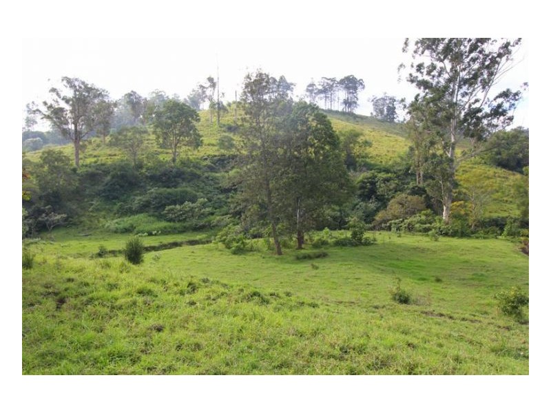 Conondale QLD 4552