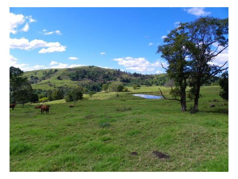 Maleny QLD 4552