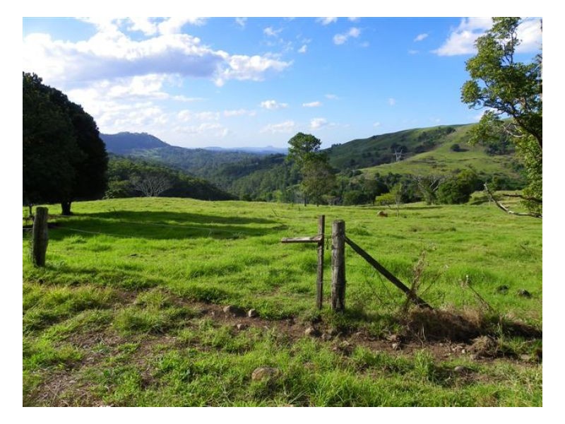 Maleny QLD 4552