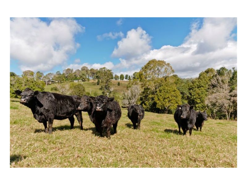 392 Dulong Road, Dulong QLD 4560