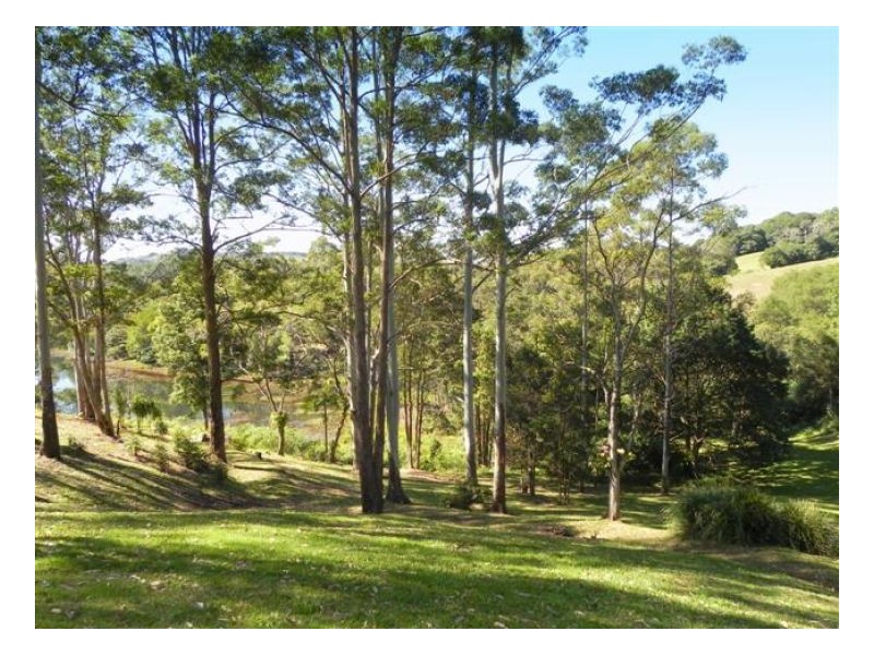 481 Reesville Road, Maleny QLD 4552