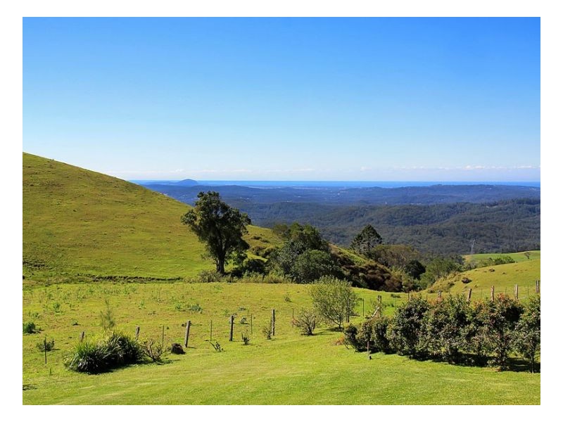 Maleny QLD 4552