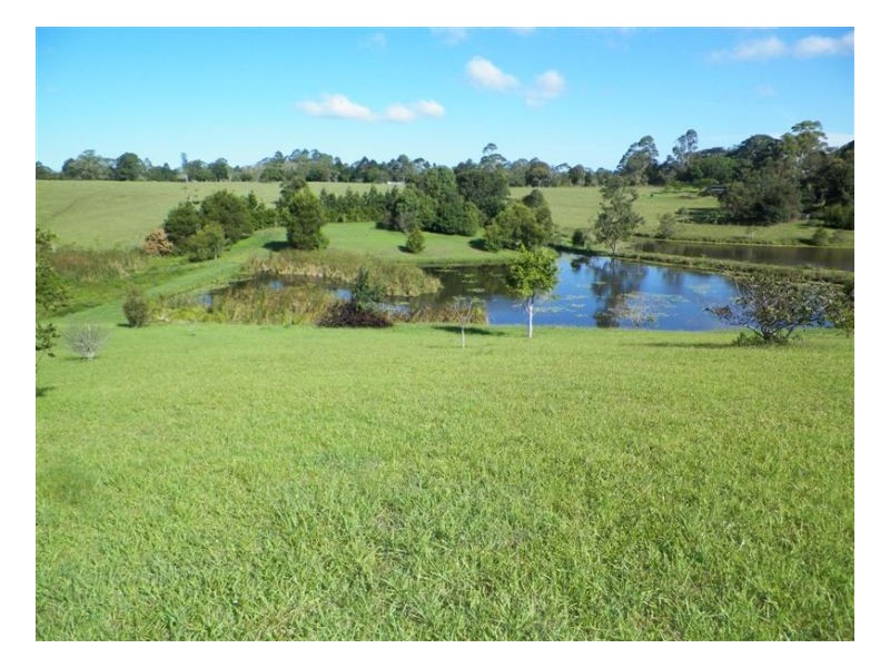 Witta QLD 4552