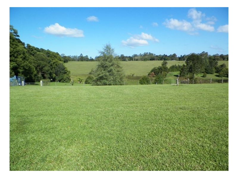 Witta QLD 4552