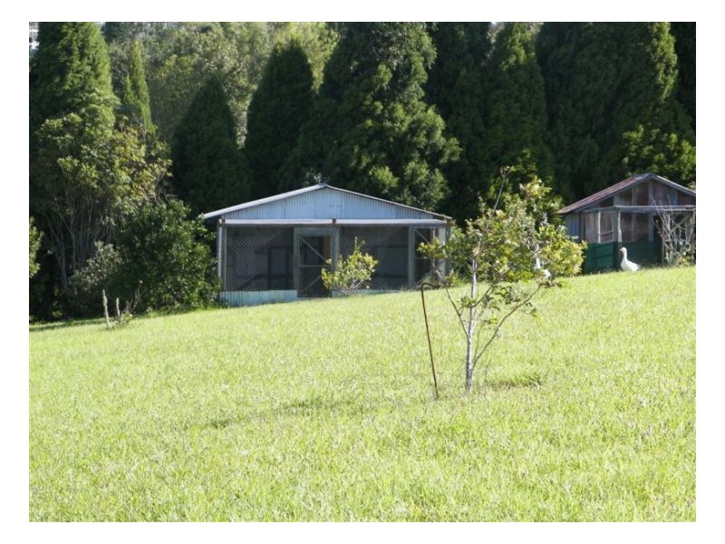 Witta QLD 4552