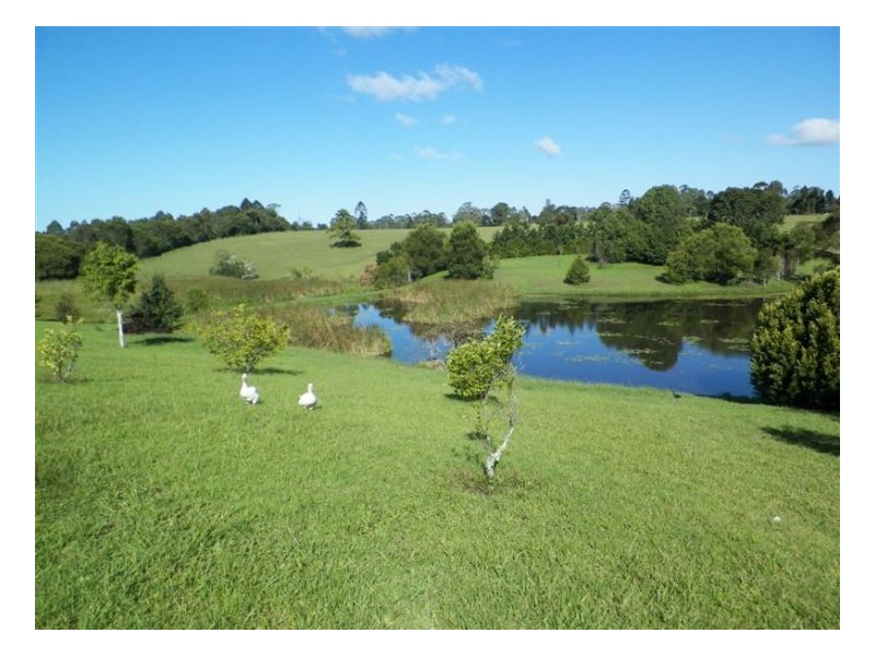 Witta QLD 4552