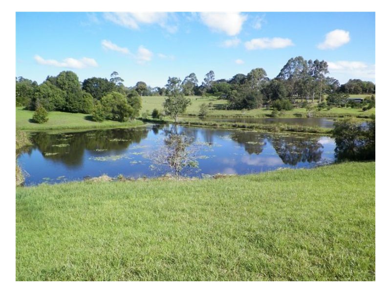 Witta QLD 4552
