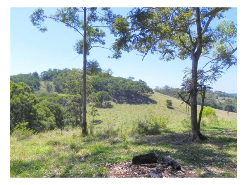 Bellthorpe QLD 4514