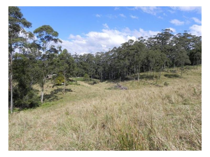 Bellthorpe QLD 4514