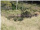 Bellthorpe QLD 4514