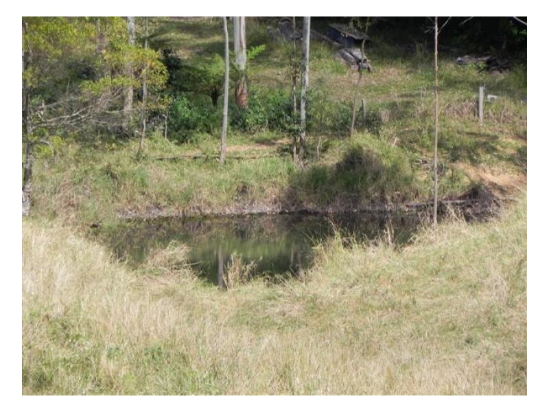 Bellthorpe QLD 4514