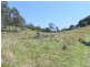 Bellthorpe QLD 4514
