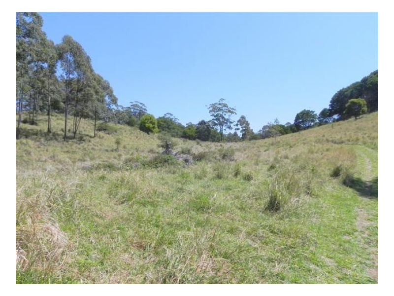 Bellthorpe QLD 4514