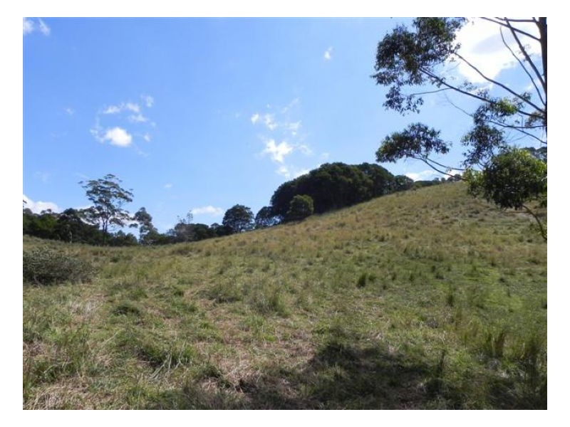 Bellthorpe QLD 4514