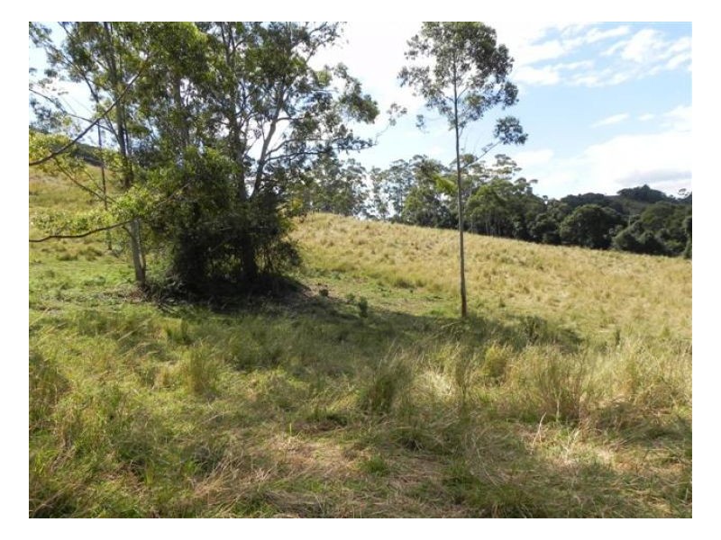 Bellthorpe QLD 4514