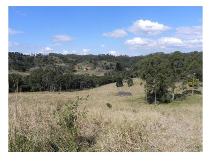 Bellthorpe QLD 4514