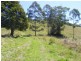 Bellthorpe QLD 4514