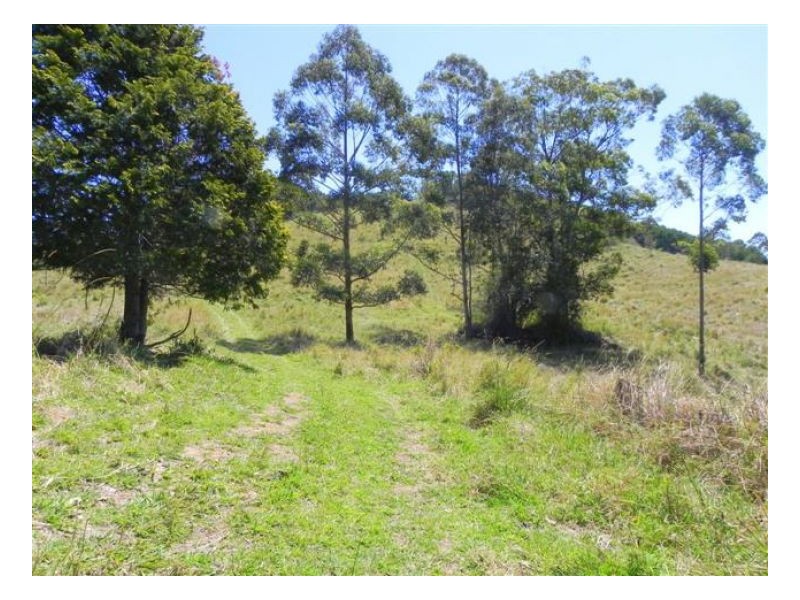 Bellthorpe QLD 4514