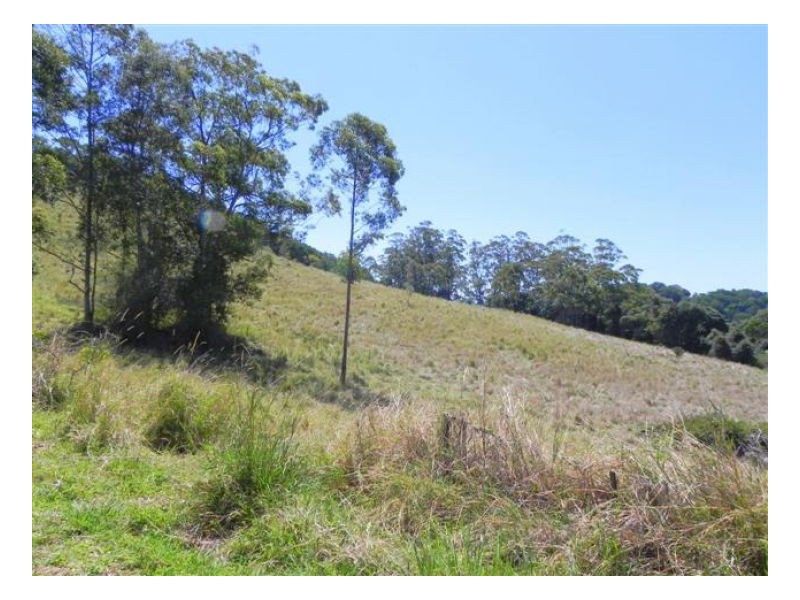 Bellthorpe QLD 4514