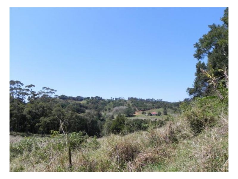 Bellthorpe QLD 4514