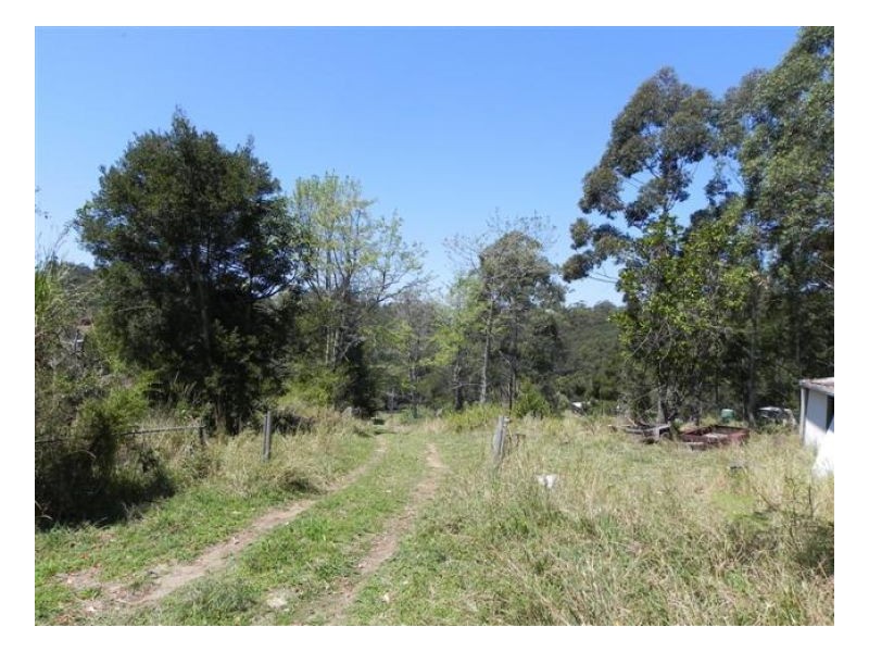 Bellthorpe QLD 4514