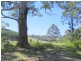 Bellthorpe QLD 4514