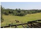 Maleny QLD 4552