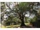 Maleny QLD 4552