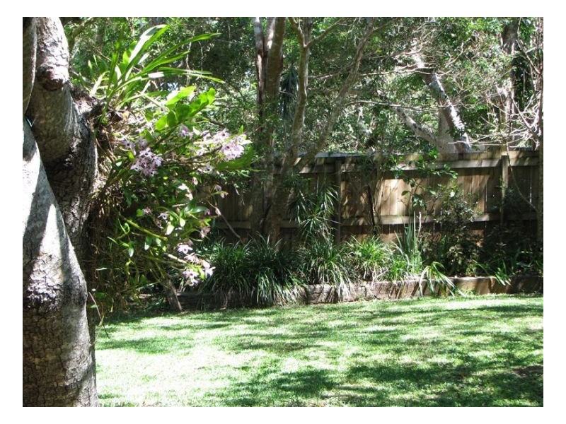 21 Kondalilla Falls Road, Flaxton, Montville QLD 4560