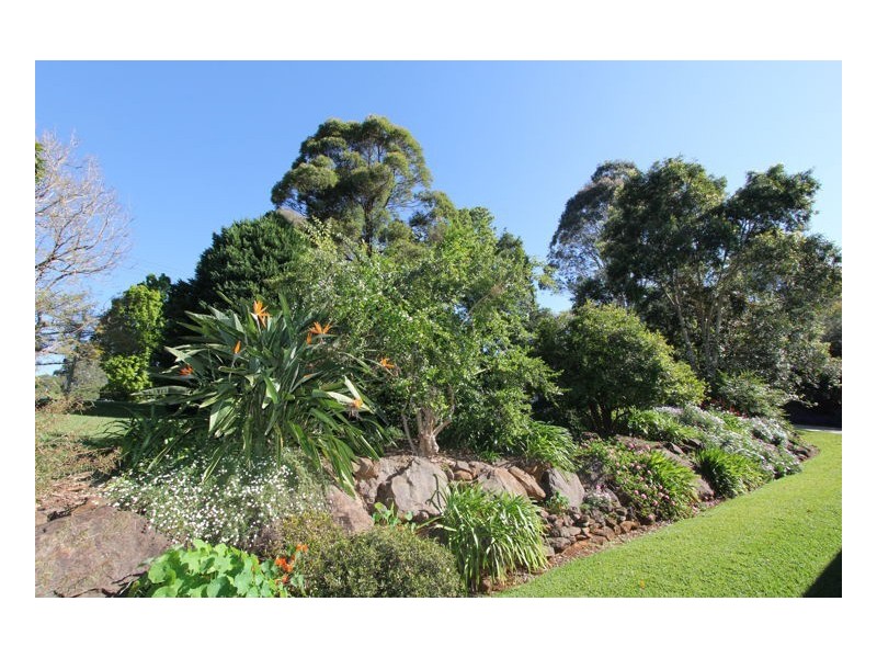 31 Beechwood Road, Maleny QLD 4552