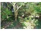 31 Beechwood Road, Maleny QLD 4552