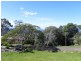 Montville QLD 4560