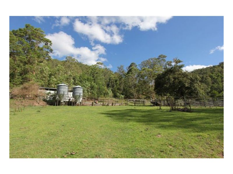 Conondale QLD 4552