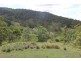 Conondale QLD 4552