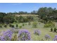 Flaxton QLD 4560